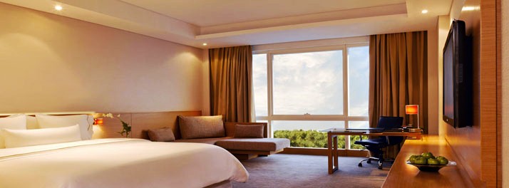 384/The Westin Mumbai Garden City - Mumbai 12.jpg